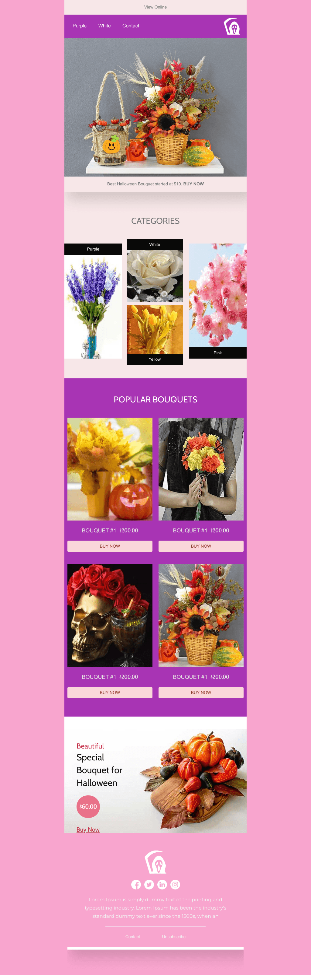 Laravel Mail Template - Halloween Bouquet Sale