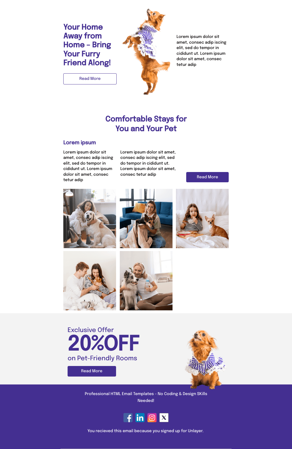 Laravel Mail Template - Pet-Friendly Accommodations