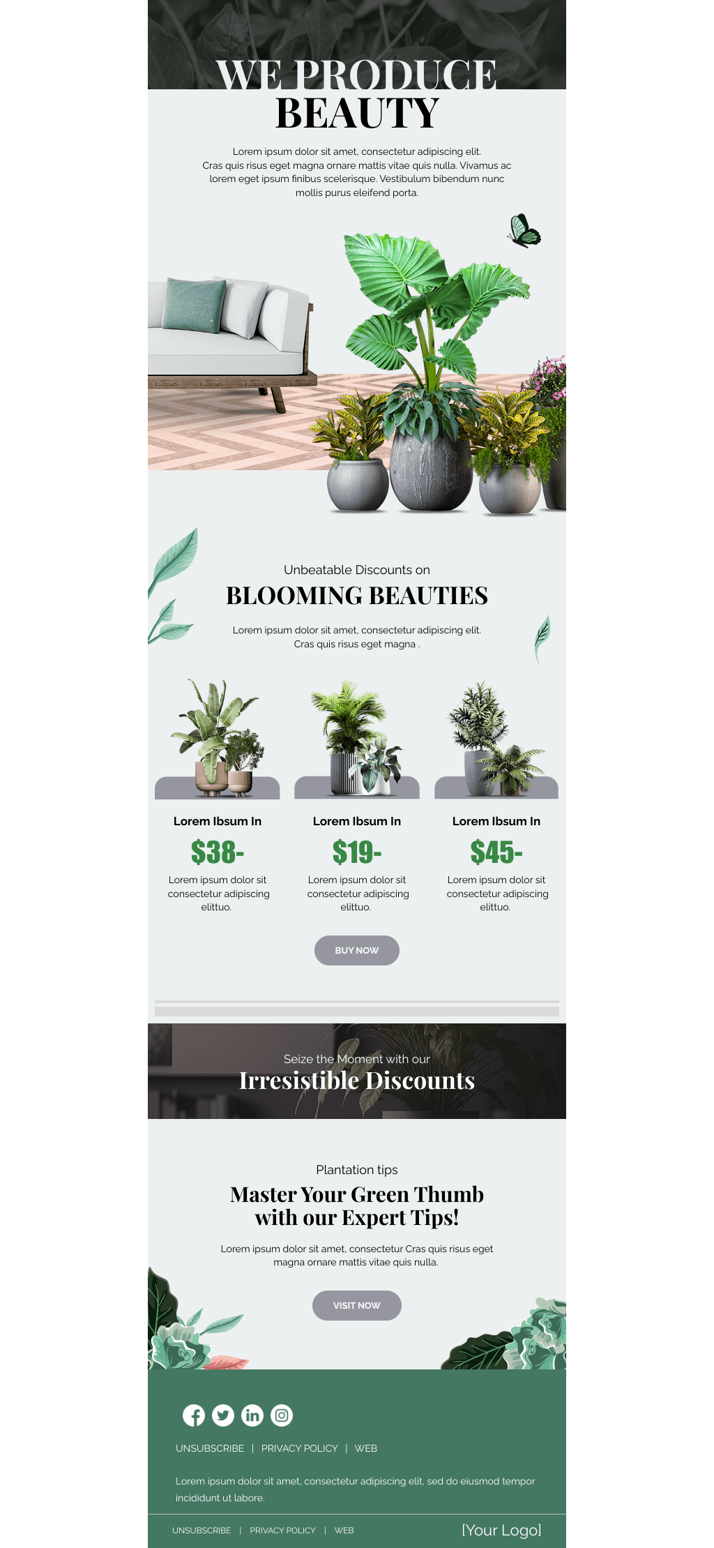 Laravel Mail Template - Save Big